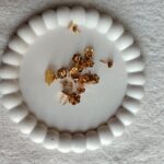 Earring base (pack of 6)